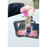 Jorkšīras terjera paliktņu komplekts