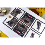 Paliktņu komplekts Black French Bulldogs 2