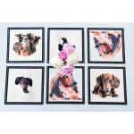 Paliktņu komplekts Taksis 1