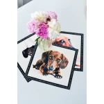 Paliktņu komplekts Taksis 3