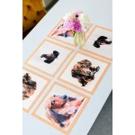 Paliktņu komplekts Taksis