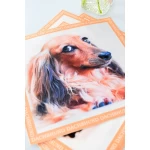 Paliktņu komplekts Taksis 2