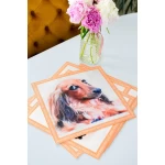 Paliktņu komplekts Taksis 3