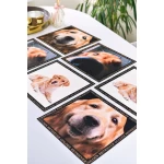 Paliktņu komplekts Golden retvirer