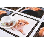 Paliktņu komplekts Golden retvirer 1