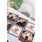 Paliktņu komplekts Golden retvirer 3