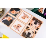 Paliktņu komplekts Golden retvirer 1