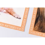 Paliktņu komplekts Golden retvirer 2