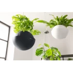 Puķu pods Lechuza Bola Colour 2