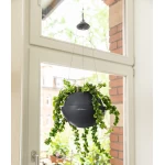 Puķu pods Lechuza Bola Colour 1