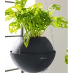 Puķu pods Lechuza Bola Colour 3