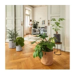 Gudrais puķu Pods Lechuza Trendcover Korķis 3