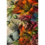 Kilimas stebūklingas sodas