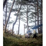 Sieviesu bikses Devold 1