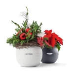 vazonas lechuza kaip kaledines dovanos moterims