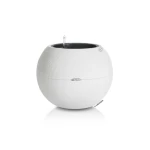 vazonas lechuza baltas 2