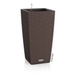 lechuza vazonas ismanusis 2