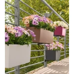 loveliai gelems lechuza 2