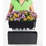 lauko vazonai lechuza 3