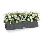 Liels puķu kaste Lechuza Balconera Cottage 80 2