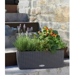 Gudrs puķu pods Lechuza Balconera Cottage 50 1