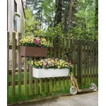 Gudrs puķu pods Lechuza Balconera Cottage 50 1