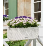 Gudrs puķu pods Lechuza Balconera Cottage 50 1