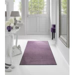 violetinis kiliminis takas kolidoriui 3