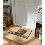 plaunamas duru kilimelis su voveryte 1