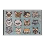 durų kilimėlis su katinais namams