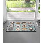 kilimas su katinais prie namų durų 1