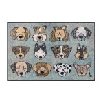 duru kilimelis su suniukais