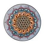 apvalus kilimas plaunamas gyvenimo gele 1