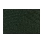 tamsiai žalias lauko durų kilimėlis