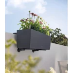 juodos spalvos lechuza balconera laikikliai 1