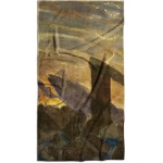 rankšluostis zodiakai vėžys