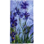 stilingas rankšluostis