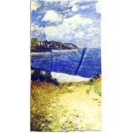 ranksluostis internetu gera kaina