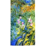 lietuviškas kokybiškas rankšluostis