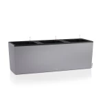 lechuza vazonas pilkas ismanusis