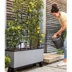 Lechuza vazonai ismanieji interjere 1