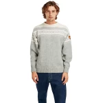 Vīriešu vilnas džemperis Dale of Norway Cortina 92521 E 2