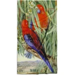 rankšluostis su papūgomis
