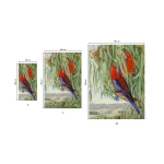 kokybiški rankšluosčiai su spauda 1