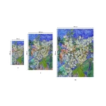 kokybiški rankšluosčiai išmatavimai 1