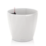 baltas lechuza vazonas