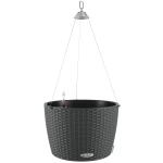 pilkas pakabinamas vazonas lechuza