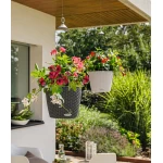 lechuza pilkas pakabinamas vazonas 1