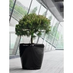 lechuza vazonas juodas ofisui 1