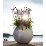 Apaļš pods Lechuza Puro 50 1